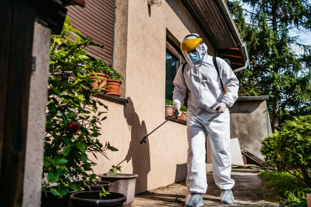 Best Pest Removal Services  in Whitehorn Cove, OK