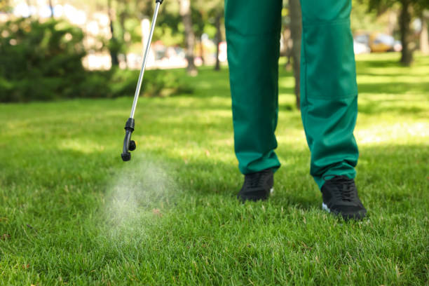 Best Cockroach Control Services  in Whitehorn Cove, OK