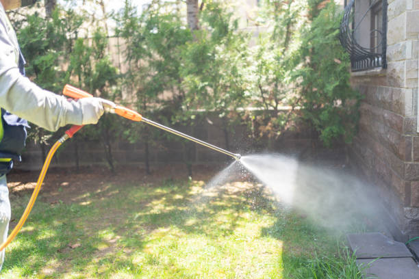 Best Best Pest Control Companies  in Whitehorn Cove, OK