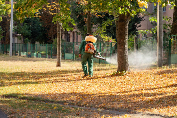 Best Wildlife Control Services  in Whitehorn Cove, OK
