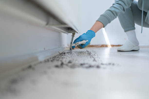  Whitehorn Cove, OK Pest Control Pros